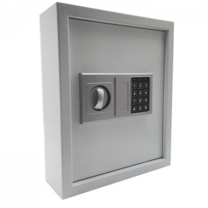 boîtes à clé, boîte à clé de stockage, boîte à clé de sécurité en acier, boîte à clé, boîte à clé, gestion des clés, boîte à clé, coffre-fort à clés extérieur SKS-EB avec 27 clés gris