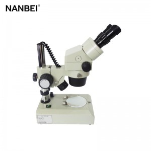 Binocular Stereo Microscope