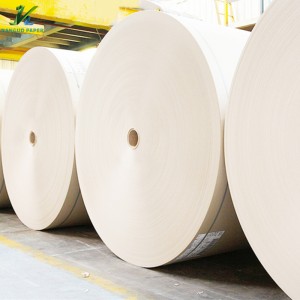 Single And Double PE Coated Paper Roll