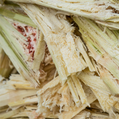 What is Sugarcane Paper?
