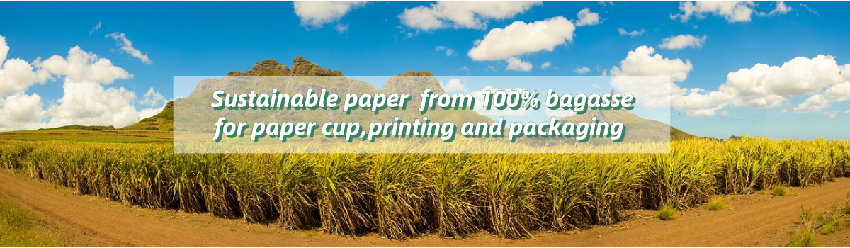 Purpose of bagasse papermaking