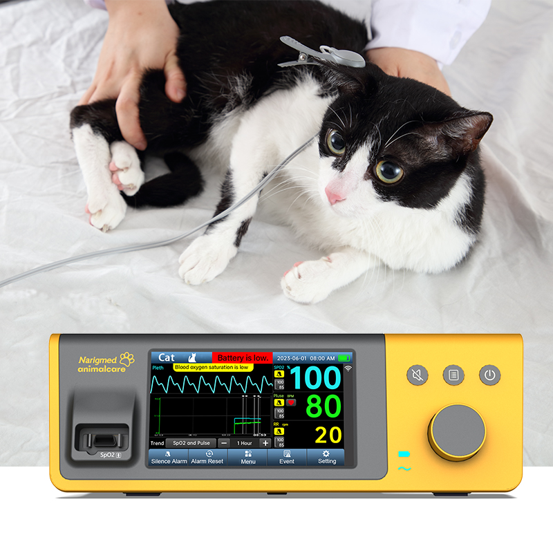 애완동물 산소측정기는 동물의 건강을 모니터링하는 데 도움이 됩니다.