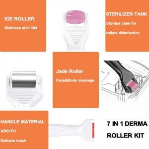 Hot Sale Derma Roller Beard Roller Ice Roller Jade Roller 7 in 1 kits For Face & Body & Beard & Hair Care 540 Titanium Micro Needle 0.25mm kit