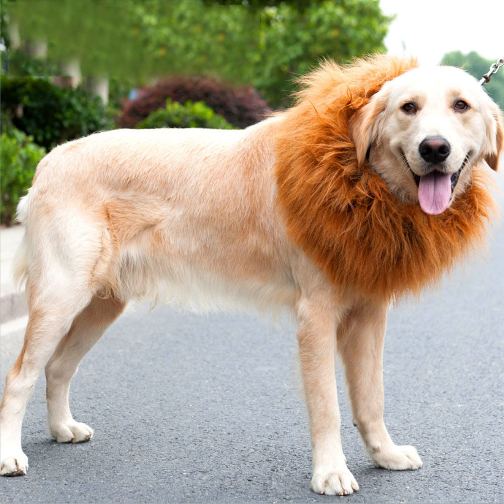 Factory source Wholesale Dog Clothes -  Lion’s Head Cover Dog Halloween Cat Transform Toy Interesting Pet Supplies Pet Headgear – MiaSein