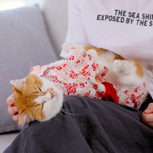 Pet Cat Coat Spring and Summer Thin Kimono Hair Proof Princess Cat Cute Vest