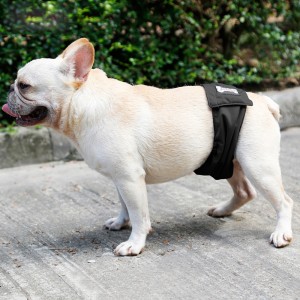 New Anti Harassment Male Dog Physiological Pants Male Dog Restraint Polite Band Pet Supplies Washable Diaper