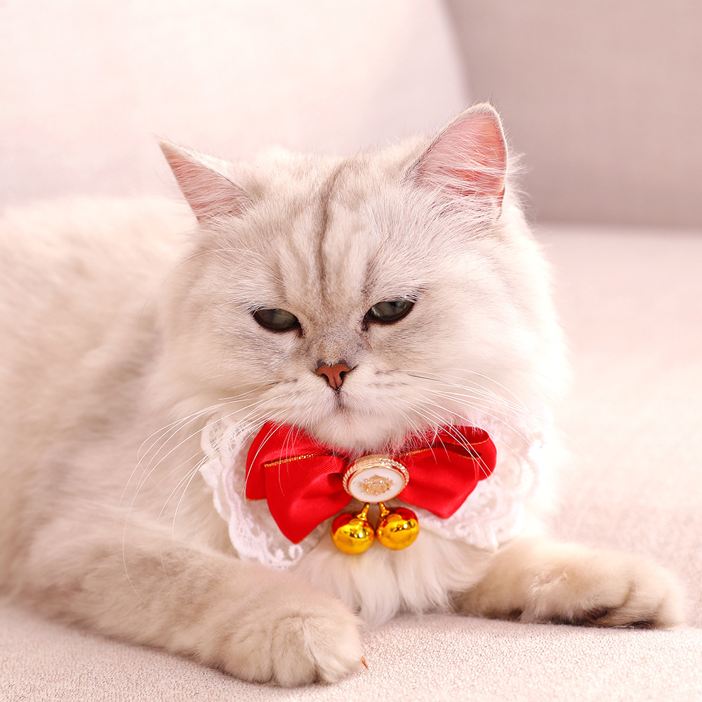 Bottom price Funny Cat Toy - Pet Bowtie Bell Pet Jewelry Folding Pet Necktie Garfield Pet Puppy Bell Jewelry Supplies – MiaSein