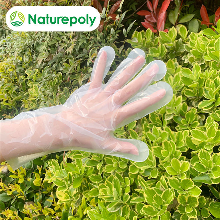 Disposable Biodegradable Gloves Featured Image