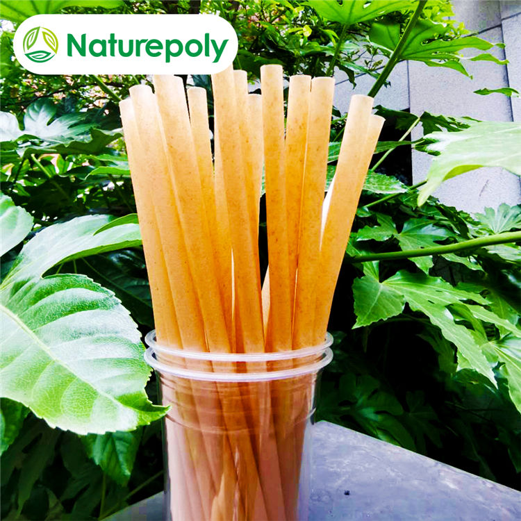 Sugarcane Straw Featured Image