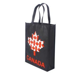 Factory Direct Non Woven Grocery Bag
