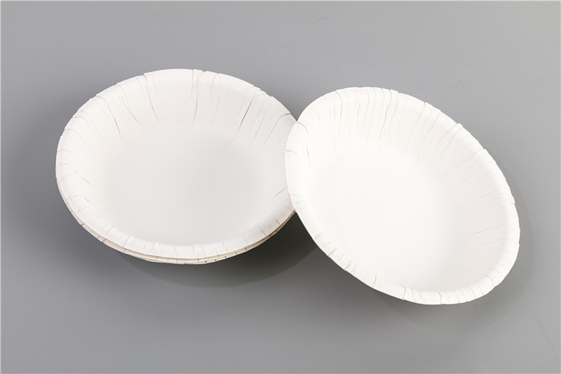 Disposable paper dinner plates