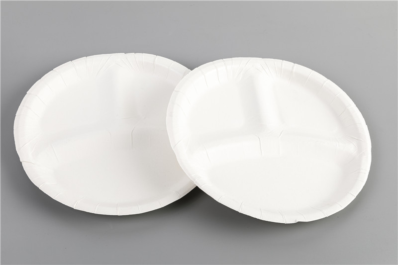 Custom disposable Paper Plates