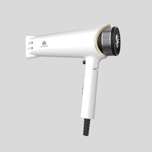High Quality China Professional Negative Ionic Blow Dryer Strong Power Dryer Salon Style Tool Foldable Hair Dryer