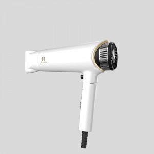 GAOLI Power Dry Lightweight Hair Dryer with Ionic Conditioning, 2000 W, White,Mobel-92109