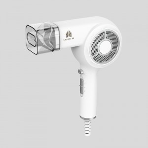 Special Price for China Wholesale Blower Salon  Professional Hair Dryer Blow Dryer Hair with Ionic