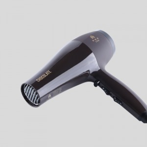 Gaoli 2400W Hair Dryer with Folding Handle, Lightweight, Penetrates Hair Deeply, Faster Drying Time, Eliminates Static and Frizz, Professional Styling Tool