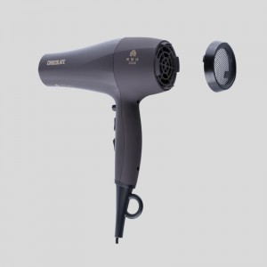 Gaoli 2400W Hair Dryer with Folding Handle, Lightweight, Penetrates Hair Deeply, Faster Drying Time, Eliminates Static and Frizz, Professional Styling Tool