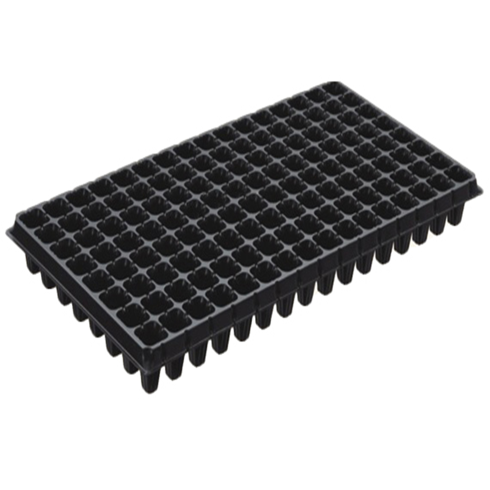 PS Seed Tray XF1907 8×16 128cells PS Seed Tray factory