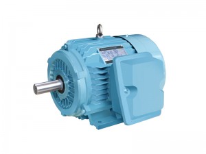 NEMA NEPM NEPX inch series industrial high efficiency three phase AC induction motors