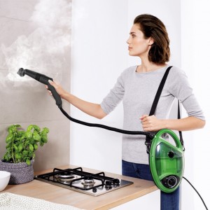 Multi-function steam mop and cleaner