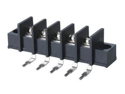 Pitch 9.50mm with Mount Hole Barrier Terminal Blocks  KLS2-45R-9.50