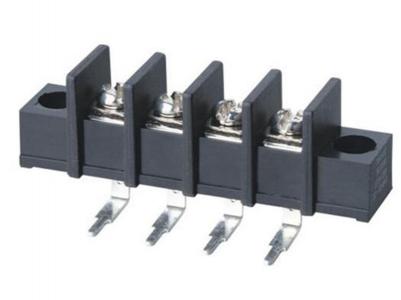 Pitch 10.0mm with Mount Hole Barrier Terminal Blocks  KLS2-55R-10.0