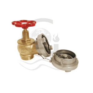 Best quality Flange Type Landing Valve - Din landing valve with storz adapter with cap  – World Fire Fighting Equipment