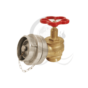 Din landing valve with storz adapter with cap