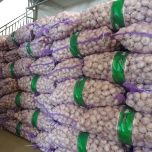 Chinesischer normaler weißer frischer Knoblauch in 10-kg-Netzbeutelverpackung