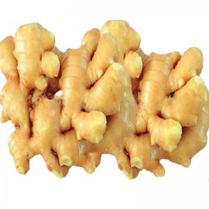 Prix ​​d'exportation de la Chine 1 kg de gingembre frais mûr de Chine