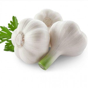 China cheap garlic Chinese normal white garlic fresh garlic price