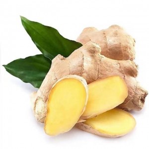 High quality fresh ginger market price per ton of wholesale China Shandong exports