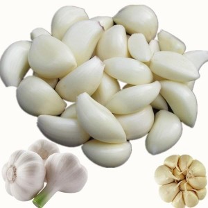 ယှဉ်ပြိုင်နိုင်သောစျေးနှုန်း Fresh Peeled Garlic Cloves Garlic Clove Peeling