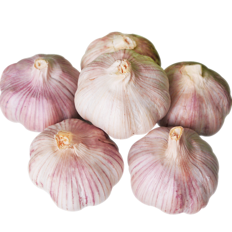 chinese 3p pure white garlic seek garlic buyer Featured Image