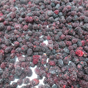 Berries iqf daskararre 'ya'yan itacen blackberry