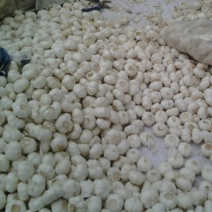 2021 China/el mejor precio chino al por mayor de ajo fresco: nueva cosecha, alta calidad para exportación