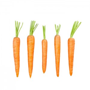 Нова култура од 2021 година свеж кинески морков/морков полни со витамин Ц морков од Кина 1 купувач