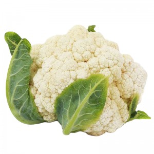 fresh cauliflower from owned farm supply all the year round