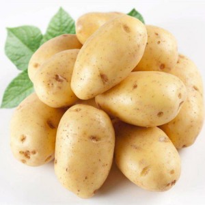 Harga grosir kentang ekspor sayuran segar yang populer