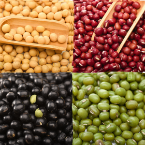 Wholesale High Quality Packing Organic Green Mung Bean Red Black Soy Beans