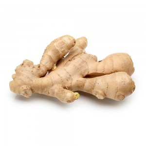 Fresh Ginger Exporter For Ginger Buyer Importers Of Ginger