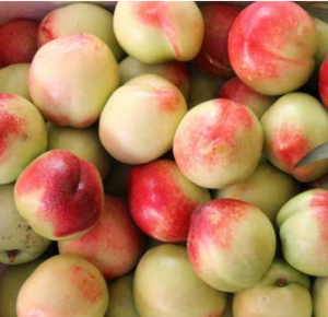 Peaches seger & nectarine