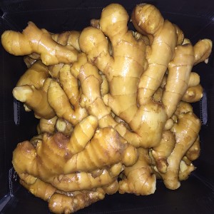 2021 Wholesale organic ginger nyowani yekutengesa kunze kwenyika