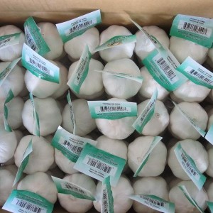 2021 China / Chinese Best Wholesale Fresh Garlic Mutengo -chirimwa chitsva, chepamusoro chekutengesa kunze