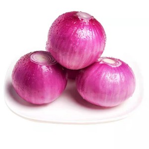 harga murah cina egyptian fresh purple red onion