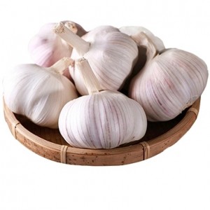 2021 China / Chinese Best Wholesale Fresh Garlic Mutengo -chirimwa chitsva, chepamusoro chekutengesa kunze