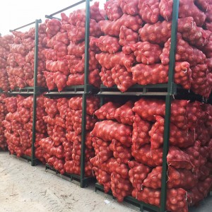 Cebolas de venda quente Exportación de cebola de calidade
