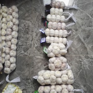 Chinese Normal White Fresh Garlic i le 10kg mesh taga Fa'aputuina