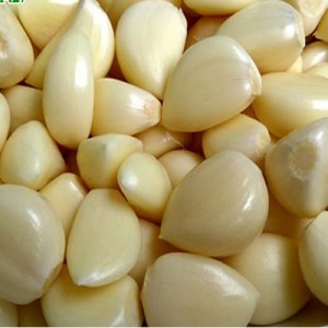 ယှဉ်ပြိုင်နိုင်သောစျေးနှုန်း Fresh Peeled Garlic Cloves Garlic Clove Peeling