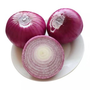 harga murah cina egyptian fresh purple red onion